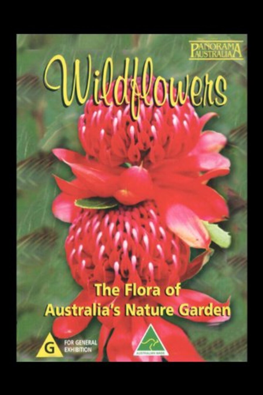 Wild Flowers poster