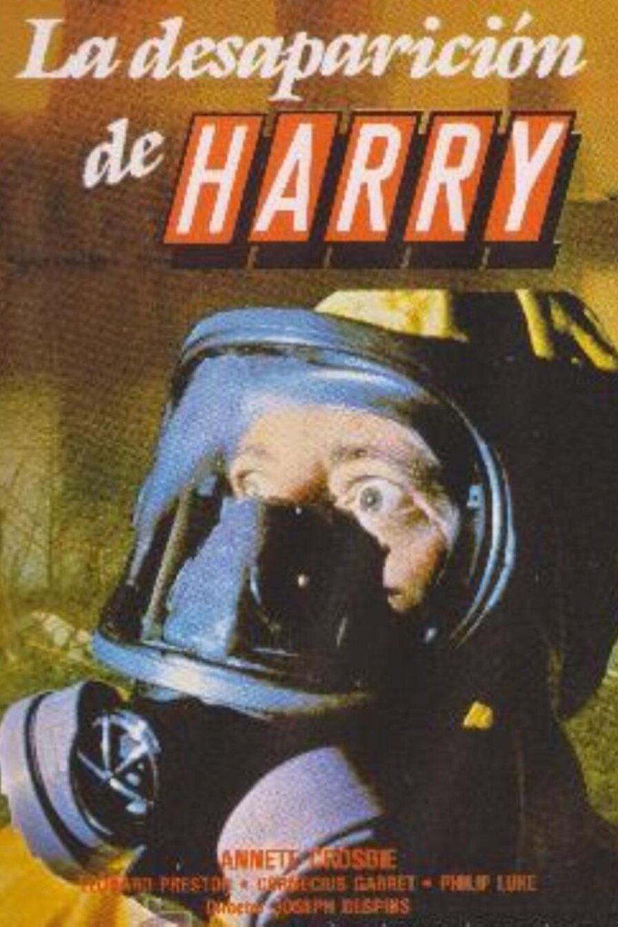 Disappearance of Harry poster
